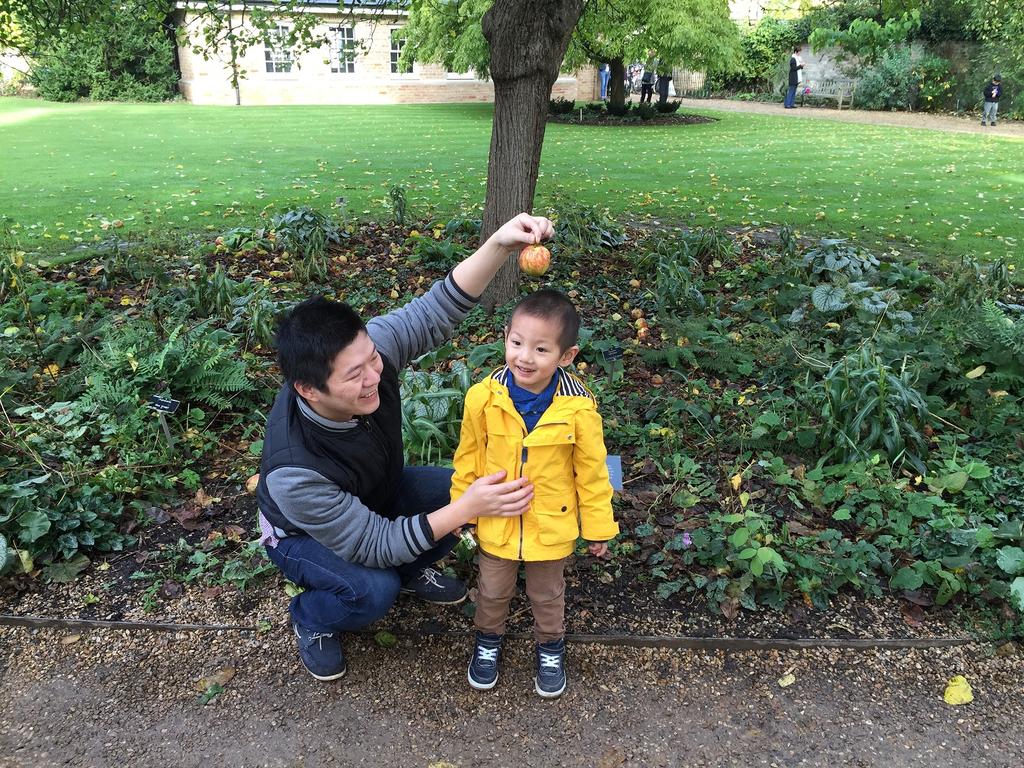 2015-10-25-12.38.08 剑桥大学植物园 游记 照片 生活 看图说话 
