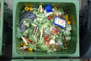 夏天怎么处理浪费的食物?