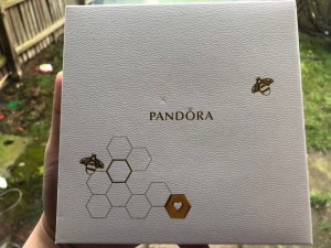 pandora-gift-300x225 给媳妇挑的生日礼物 