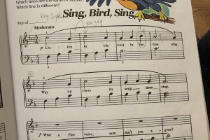 Eric Plays Piano – Sing Bird Sing 每次儿子一弹琴都令人感动