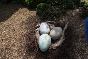 到 Beth Chatto 花园找复活节彩蛋