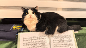 chessly-cat-on-piano-2024-11-08-17.28.14-300x169 Chessly也见证了孩子平时练习钢琴的时光。 