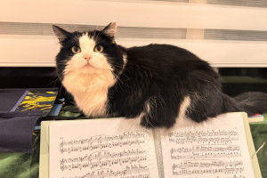 恭喜两娃在这么小的年纪就通过了英皇8级钢琴考试(ABRSM)!