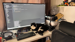 chessly-in-front-of-a-monitor-2025-01-10-15.48.22-300x169 面向猫编程，上班的时候Chessly在我的显示器前躺着，有点碍事。2025-01-10 