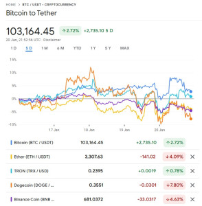 crypto-2025-01-20-294x300 币圈大狂欢，这次懂币/川普可以说是一个营销事件，让更多的人了解到币圈。 