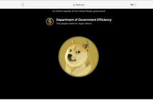 elon-musk-trump-doge-department-of-government-efficiency-300x197 DOGE美国政府效能部网站上线，是狗狗币，这一定不是巧合。 