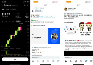 trump-meme-coin-300x211 懂王币第一天上线暴拉，不过，我觉得等FEMO效应退去后，庄家退场，割韭菜。 