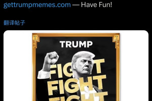 有一点FEMO: 并没赶上TRUMP特朗普币, 错过几个亿! 有一点FEMO: 并没赶上TRUMP特朗普币, 错过几个亿!