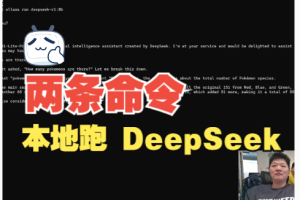 部署和运行 DeepSeek R1-8b 大型语言模型 (LLM) 的两个简单命令