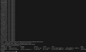 docker-firefox-pull-image-300x183 输入这个脚本命令Docker就会加载容器 jlesage/firefox 