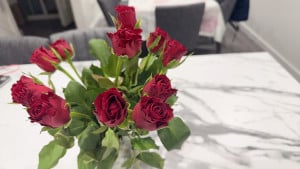 flowers-birthday-300x169 下班后就在家门口的Coop超市买了花/5.5英镑 