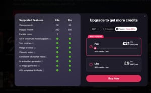 pollo-ai-plan-prices-300x185 Pollo AI视频生成工具：付费版的价格 