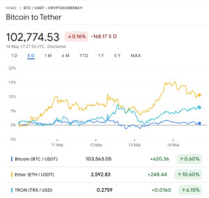 crypto-btc-eth-tron-2025-05-14-300x284 币圈也开始涨回来了，牛市真的要来了？希望这是大饼最后一次破10万刀。 