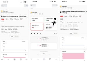 nezha-monitor-servers-offline-300x210 服务器掉线可以很清楚的知道哪些机器从什么时候开始掉线的。 
