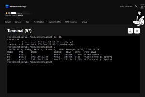 nezha-monitor-ssh-1-300x201 后台可以直接以root身份登陆服务器，很强大。 