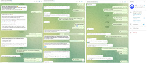nordvpn-scammer-telegram-300x130 和骗子谈合同的全过程。 