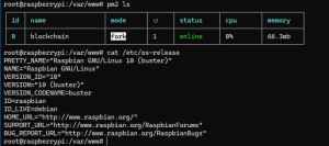 run-pm2-blockchain-program-on-raspberrypi-4b-300x133 在树莓派4b上跑了一个nodejs/pm2程序还是绰绰有余的。 