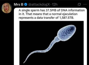 sperm-37.5-dna-300x220 单个精子含有37.5MB的DNA信息。 