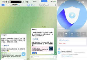 telegram-scams-300x205 Telegram上的骗子机器人验证，一定要小心 验证帐号 