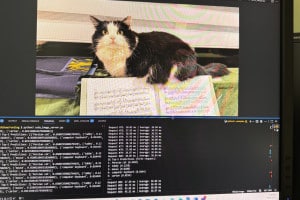 微软研究院十年前的 ResNet图片识别模型把Chessly识别成波斯猫。 微软研究院十年前的 ResNet图片识别模型把Chessly识别成波斯猫。