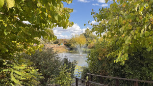 cambridge-science-park-2025-09-05-14.54.58-300x169 这里的风景很好，远离市中心。 