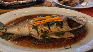 roma-chinese-restaurant-2025-10-29-20.00.49-300x169 清蒸鱼/很新鲜 