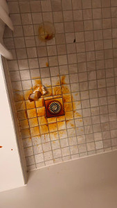 switzerland-hotel-bathroom-169x300 这药剂搞得像凶案现场 