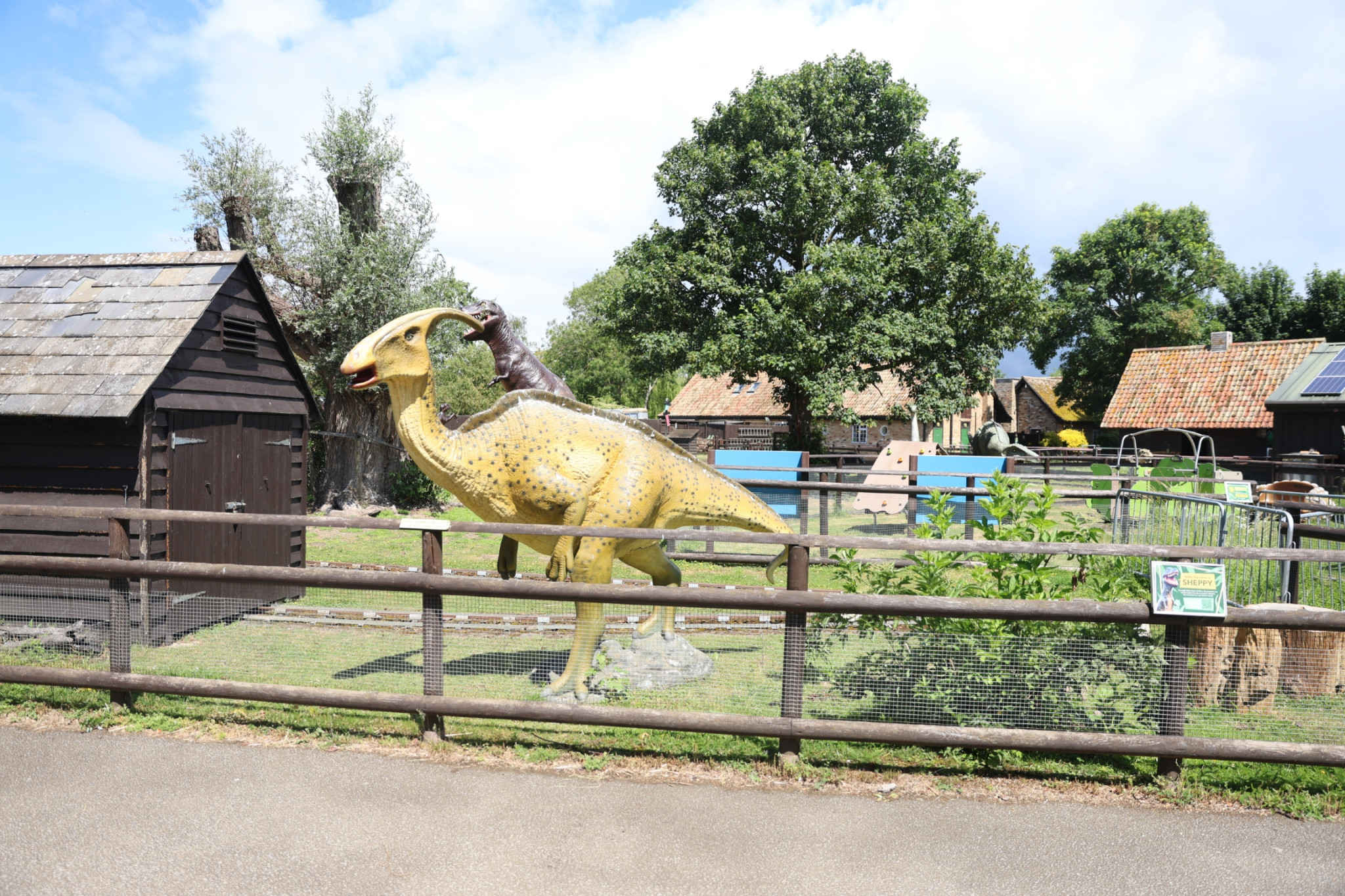 LP5A8430-scaled 微软剑桥研究院 2026 夏日派对: 三年后重回 Shepreth Wildlife Park 工作 微软 派对 Party 游记 照片 资讯 