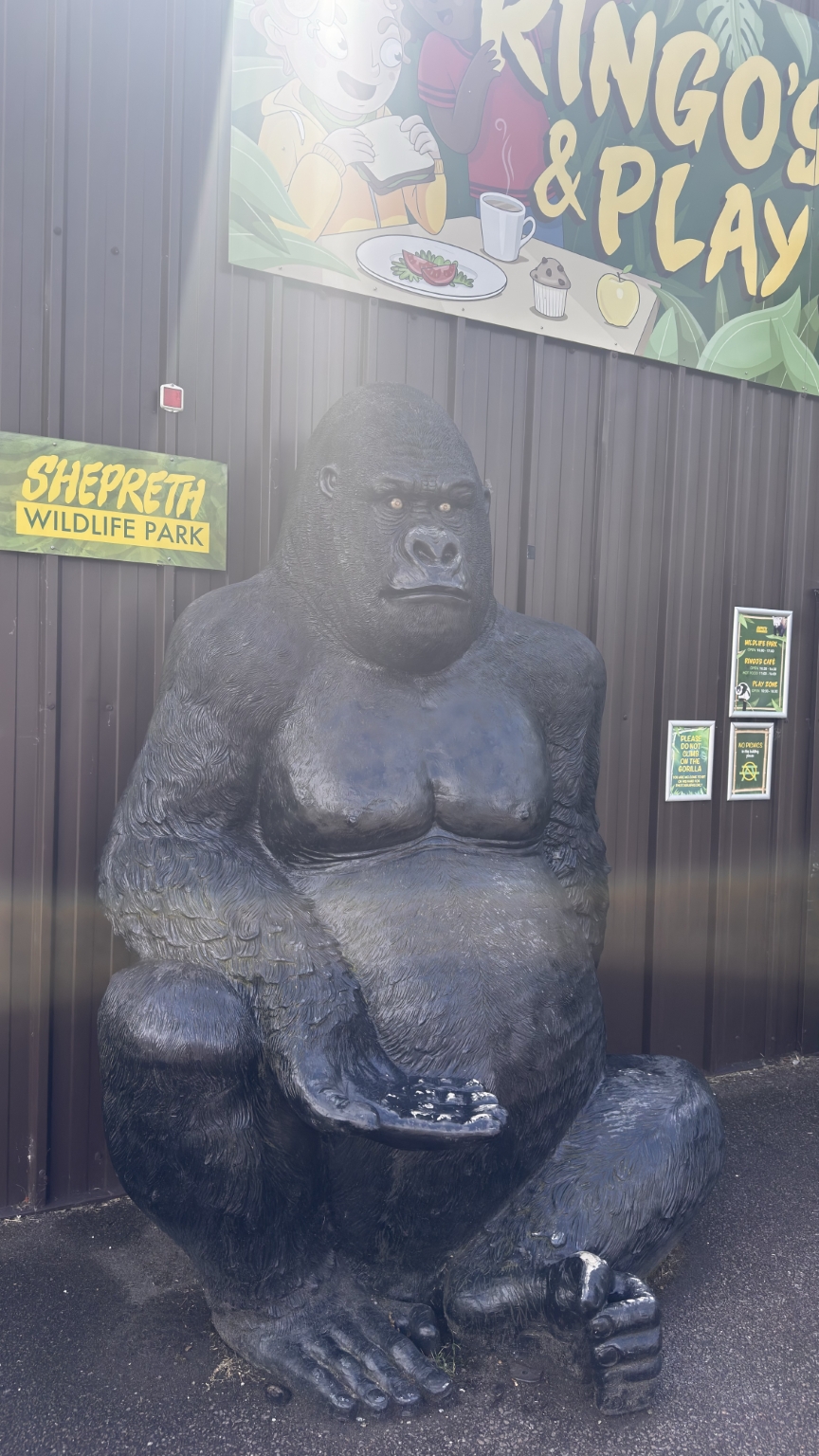cambridge-shepreth-wildlife-park-microsoft-cambridge-research-summer-party-2026-06-06-11.46.23 微软剑桥研究院 2026 夏日派对: 三年后重回 Shepreth Wildlife Park 工作 微软 派对 Party 游记 照片 资讯 