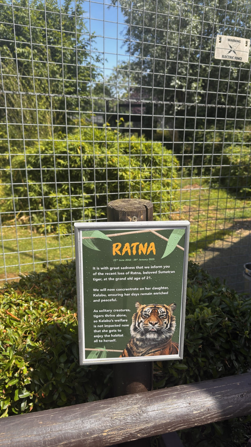 cambridge-shepreth-wildlife-park-microsoft-cambridge-research-summer-party-2026-06-06-12.54.22 微软剑桥研究院 2026 夏日派对: 三年后重回 Shepreth Wildlife Park 工作 微软 派对 Party 游记 照片 资讯 
