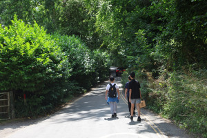 cotswolds-LP5A1785-300x200 绿树与灌木环绕的科茨沃尔德乡间公路。 